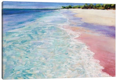 Turquoise Waters IV Canvas Art Print - Jennifer Gardner