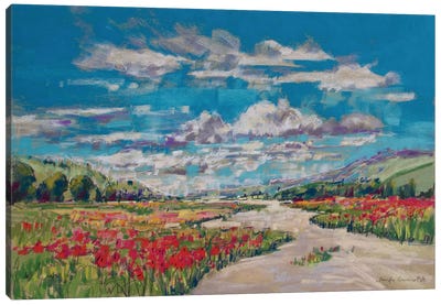 Poppy Path V Canvas Art Print - Jennifer Gardner
