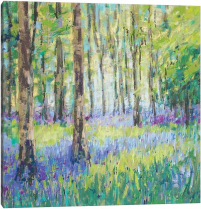 Bluebell Woods Canvas Art Print - Artists Like Monet