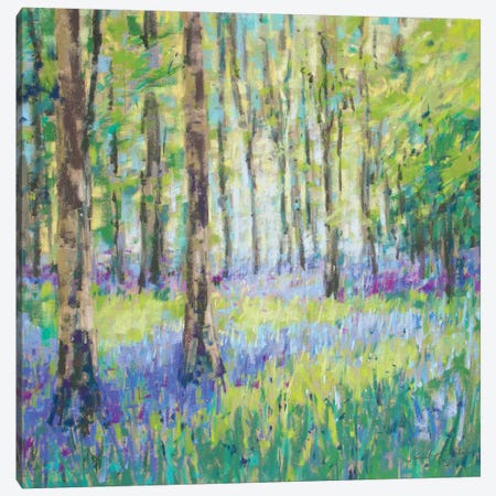 Bluebell Woods Canvas Print #NER42} by Jennifer Gardner Canvas Art