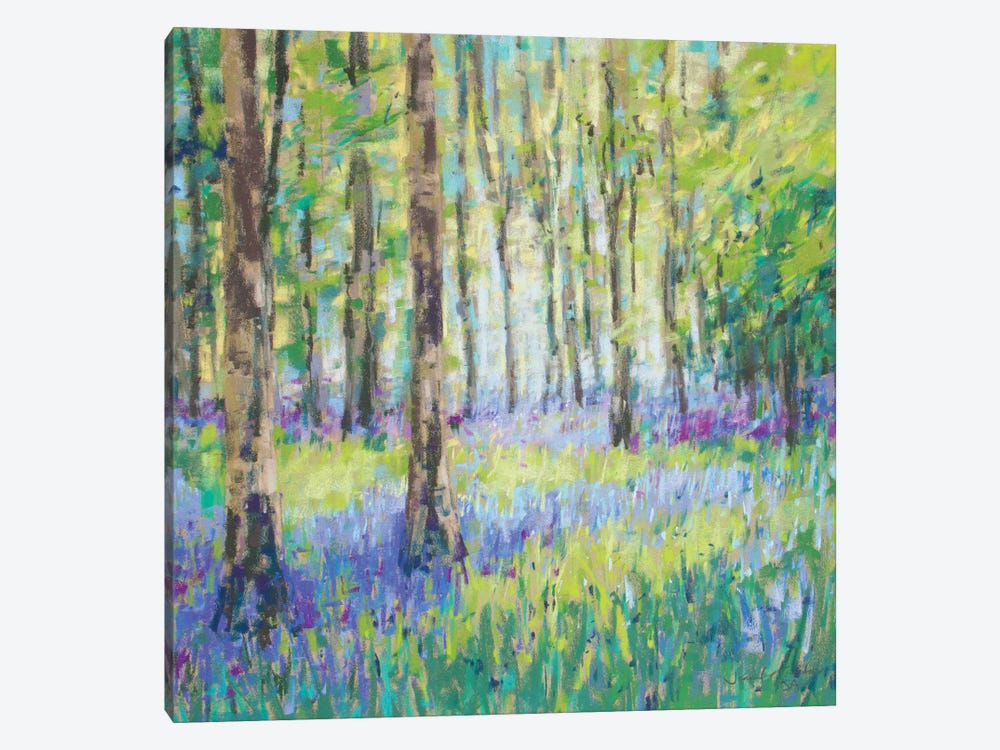 Bluebell Woods by Jennifer Gardner 1-piece Canvas Print