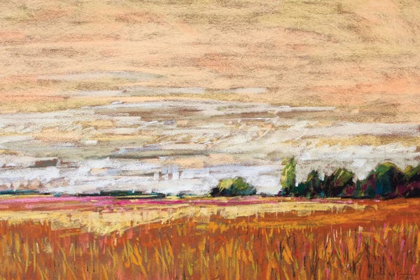 Jennifer Gardner: Late Afternoon Light VI by Jennifer Gardner