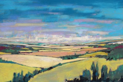 Patchwork Fields V by Jennifer Gardner gallery poster