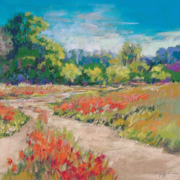Wildflowers: Poppy Path by Jennifer Gardner