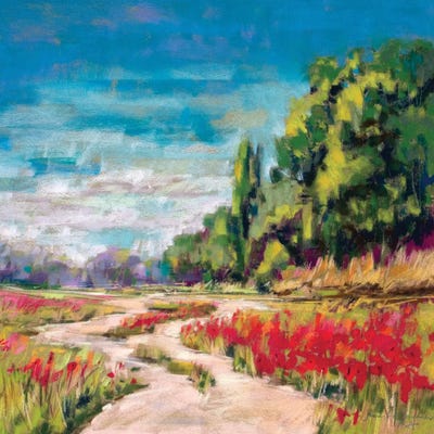 Poppy Path II by Jennifer Gardner framed canvas print