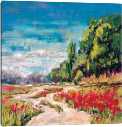Poppy Path II Canvas Art Print - Jennifer Gardner