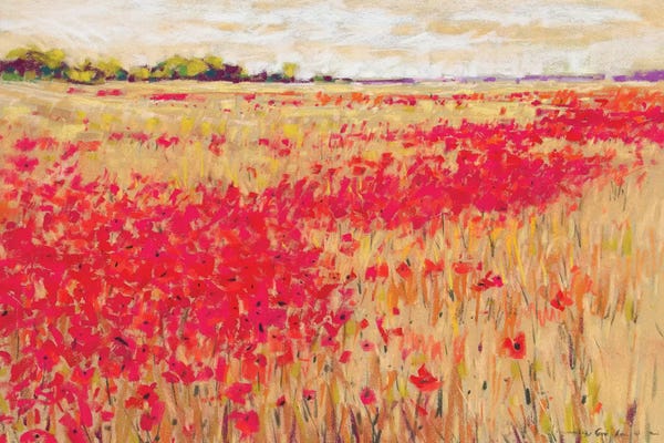 Jennifer Gardner: Poppies' Evening Light I by Jennifer Gardner