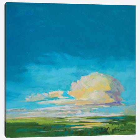 Evening Light At The Marshes Canvas Print #NER95} by Jennifer Gardner Canvas Wall Art