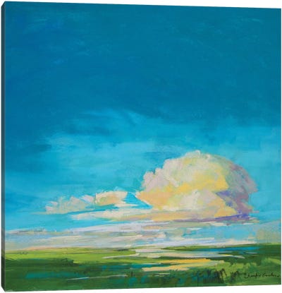 Evening Light At The Marshes Canvas Art Print