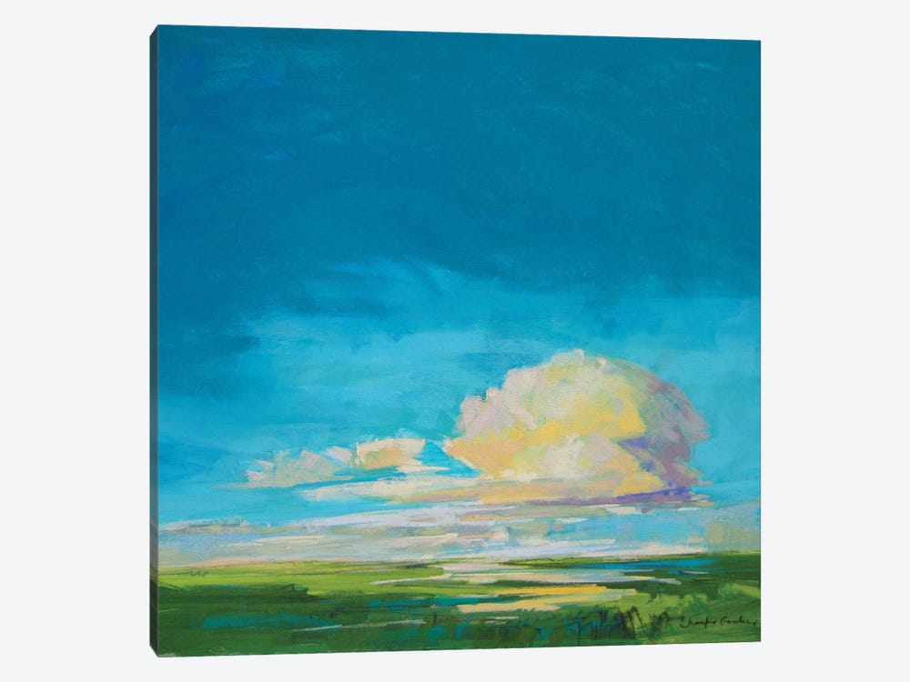 Evening Light At The Marshes by Jennifer Gardner 1-piece Canvas Art Print