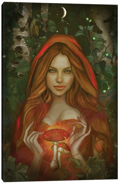 Amanita Canvas Art Print - Witch Art