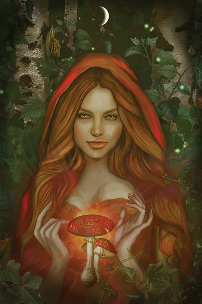 Witches: Amanita by Nettsch