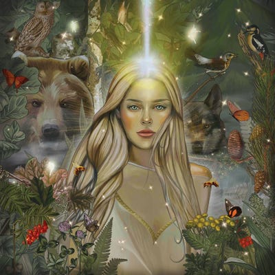 Forest Elf by Nettsch art print