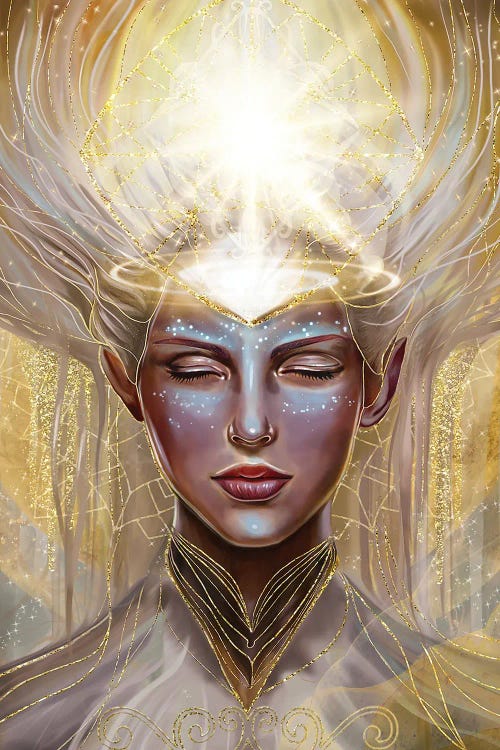 Starry Soul by Nettsch wall art