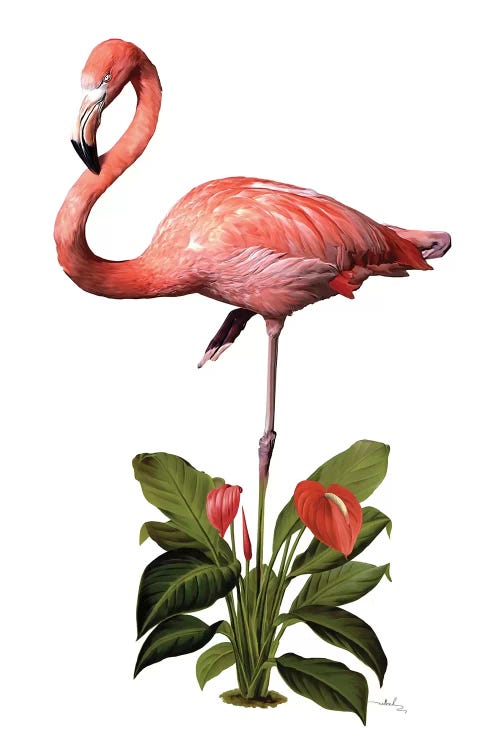 Frollein Flamingo