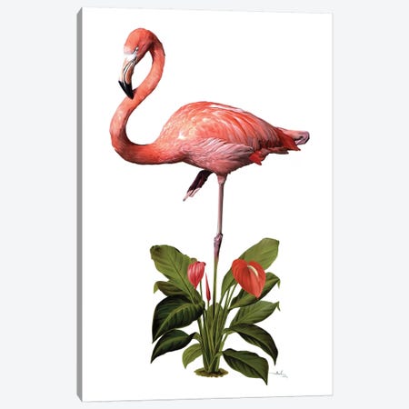 Frollein Flamingo Canvas Print #NET17} by Nettsch Canvas Artwork
