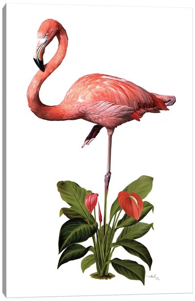 Frollein Flamingo Canvas Art Print - Tropical Décor