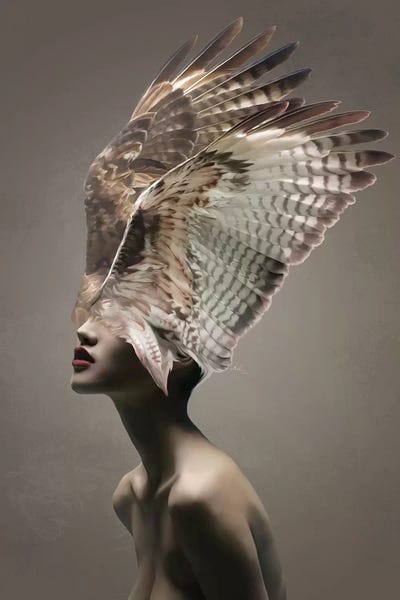 Wings: Magma by Nettsch