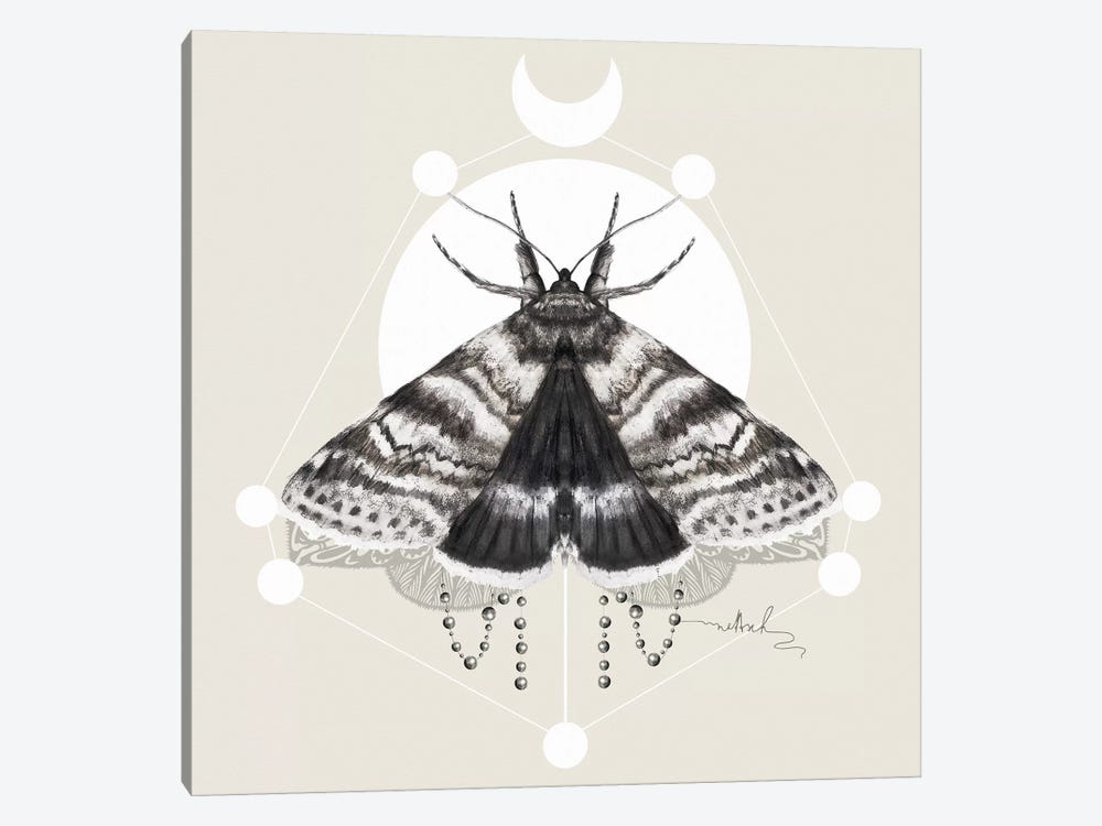 Moth by Nettsch 1-piece Canvas Art Print