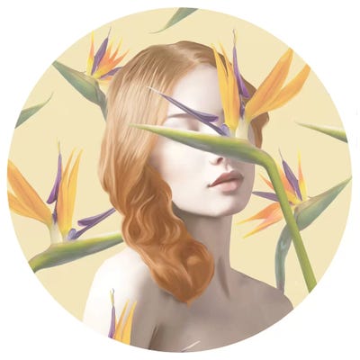 Strelitzia by Nettsch framed canvas print