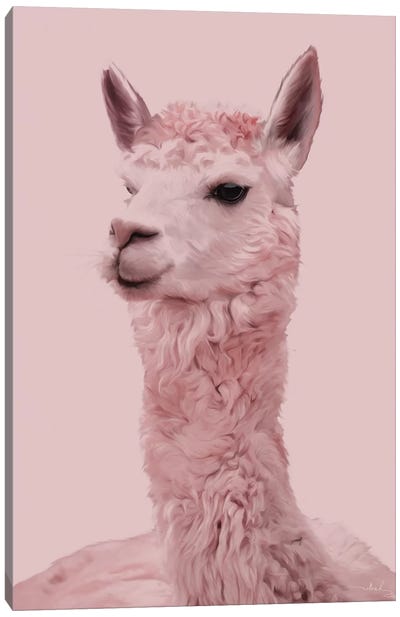 Lama Canvas Art Print - Llama & Alpaca Art