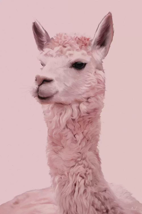 Lama by Nettsch wall art