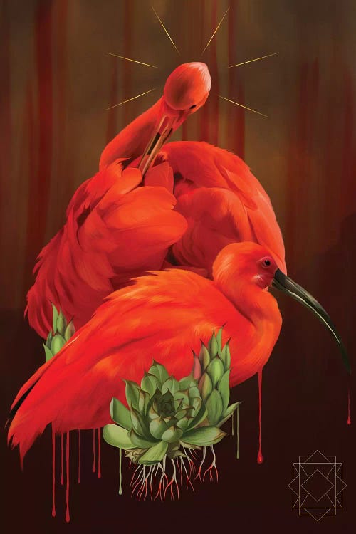 Ibis by Nettsch wall art