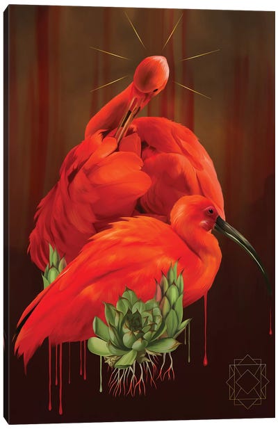 Ibis Canvas Art Print