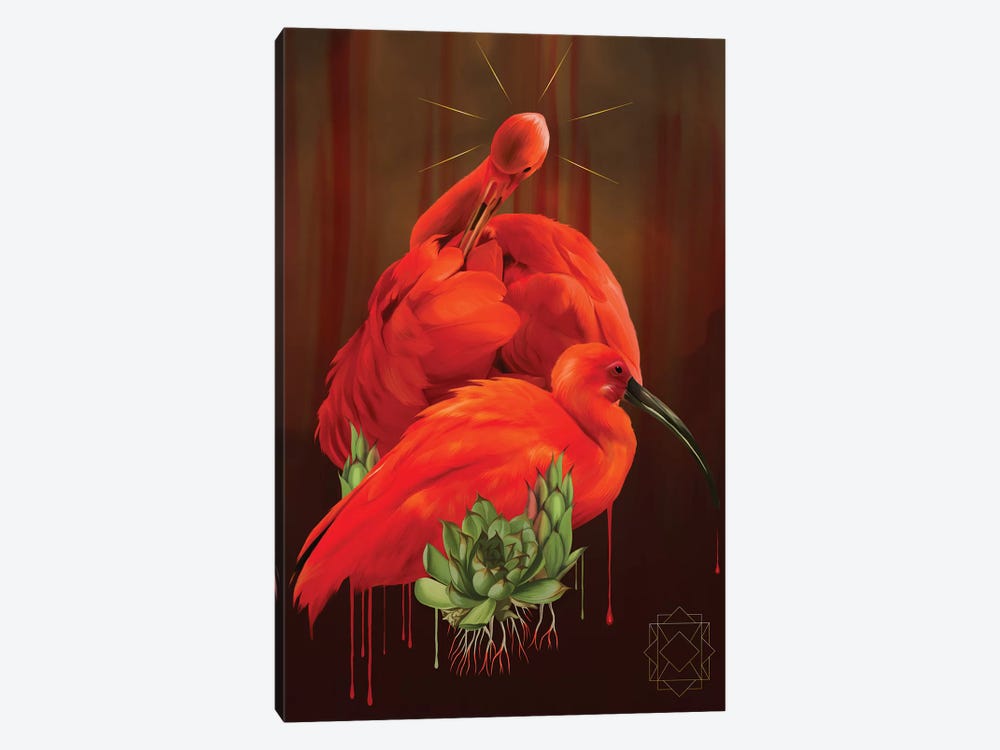 Ibis by Nettsch 1-piece Canvas Print