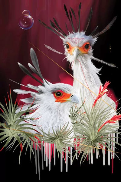 Secretary Birds by Nettsch canvas print