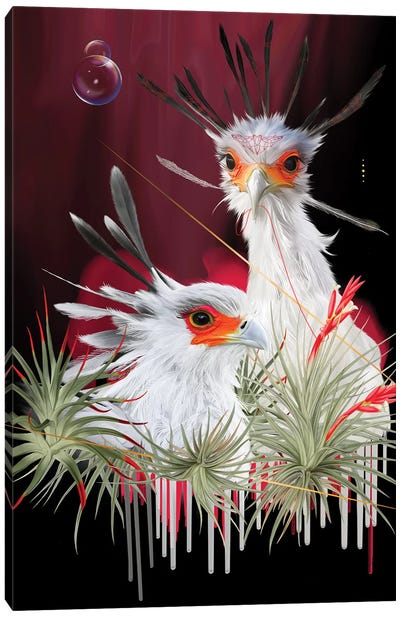 Secretary Birds Canvas Art Print - Nettsch