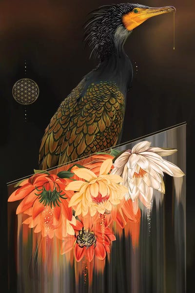 Cormorant by Nettsch framed canvas print