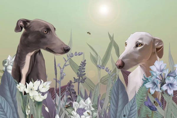 Weimaraners: Springlight by Nettsch