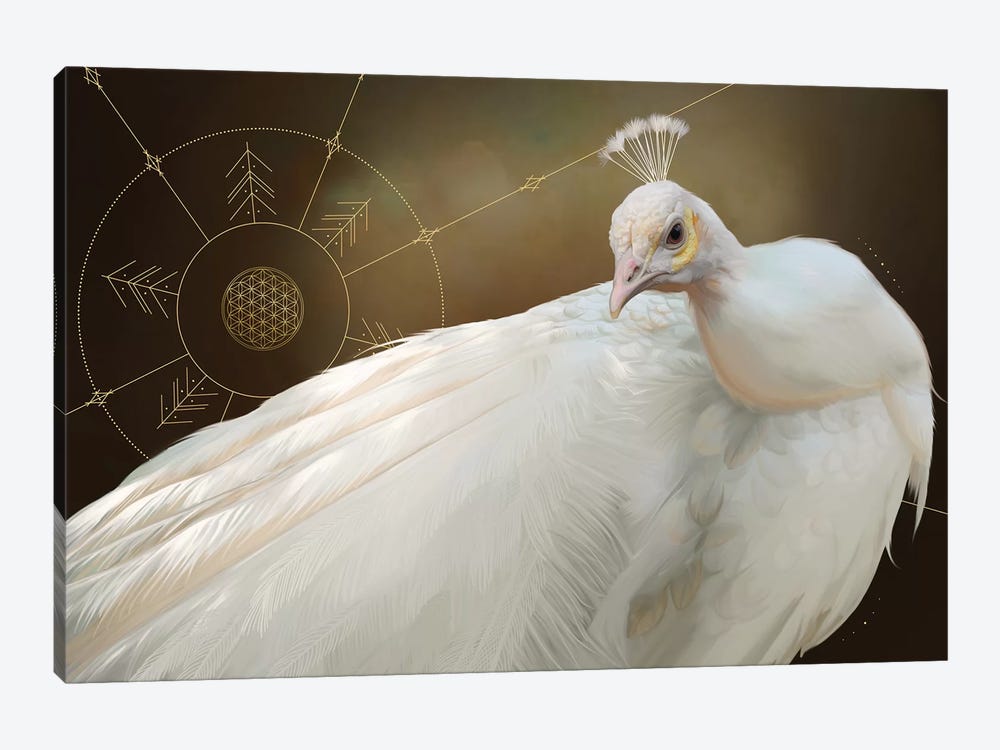 White Peacock 1-piece Canvas Art Print