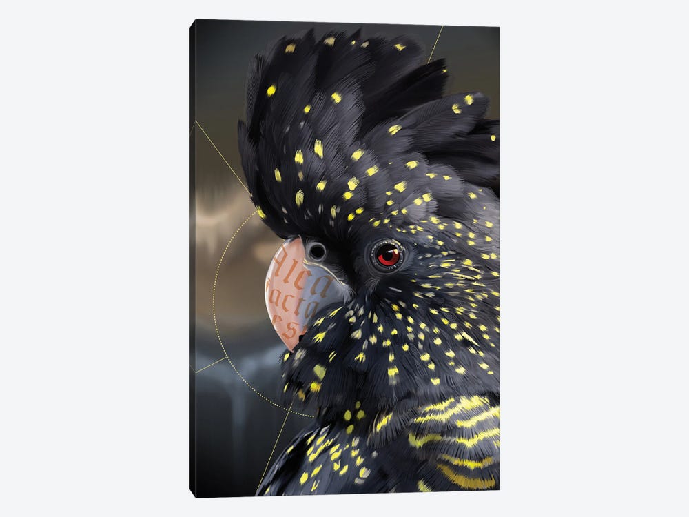 Cockatoo by Nettsch 1-piece Art Print