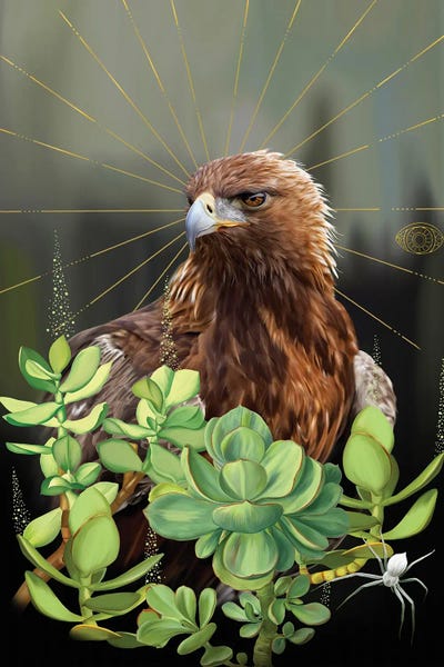 Buzzards & Hawks: Buzzard by Nettsch