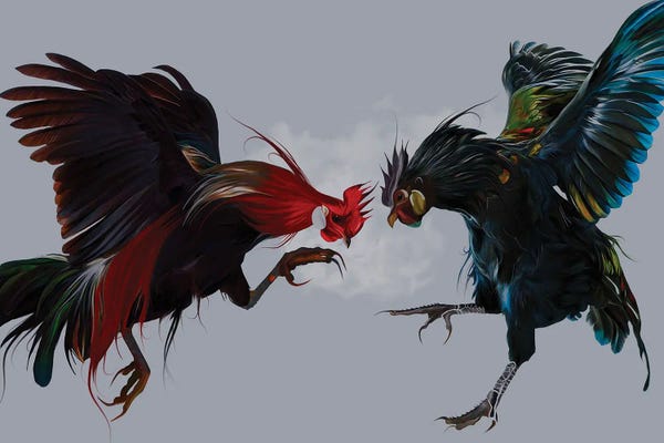 Chickens & Roosters: Rooster by Nettsch