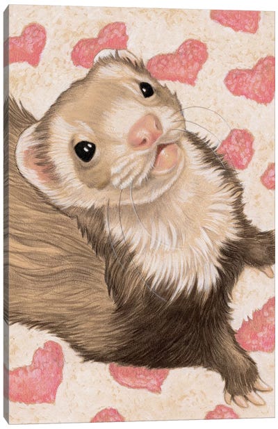Ferret Otto Canvas Art Print - Ferrets
