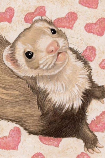 Ferrets: Ferret Otto by Natalie Ewert