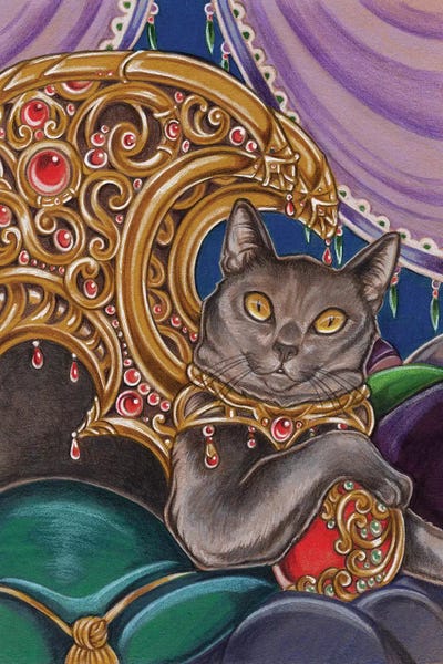 Cat Cato by Natalie Ewert canvas print