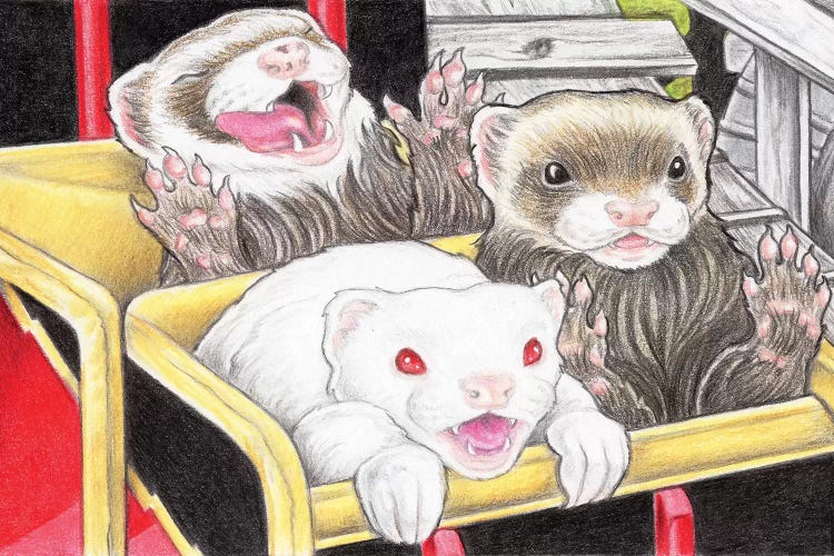 Rollercoaster Ferrets