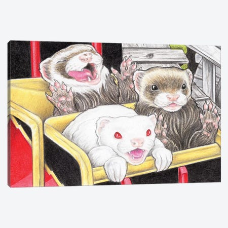 Rollercoaster Ferrets Canvas Print #NEW27} by Natalie Ewert Canvas Wall Art