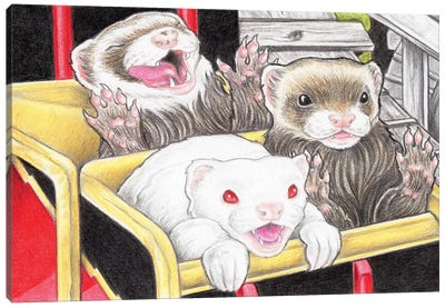 Rollercoaster Ferrets Canvas Art Print - Adventure Art