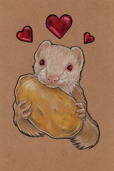 Ferrets: Spuddy by Natalie Ewert