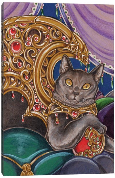 Cat Cato Canvas Art Print - Natalie Ewert