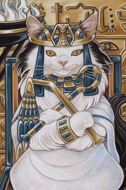 Cat Nefertiti