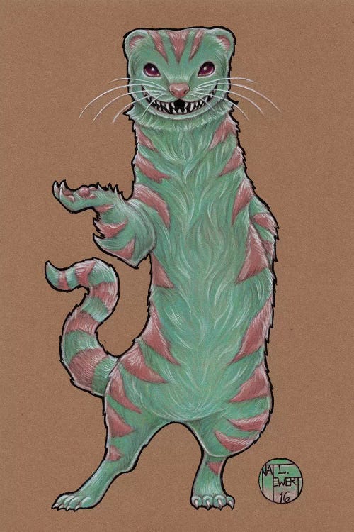 Cheshire Ferret