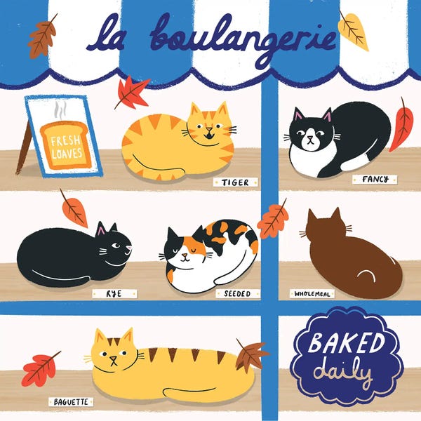 Pet Obsessed: The Bakery by Nat Ellis