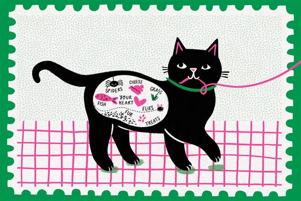 Fine Art Print: Things You Might Find In A Cat by Nat Ellis