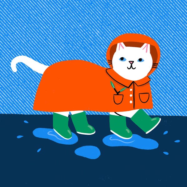 Pet Obsessed: Rainy Days by Nat Ellis